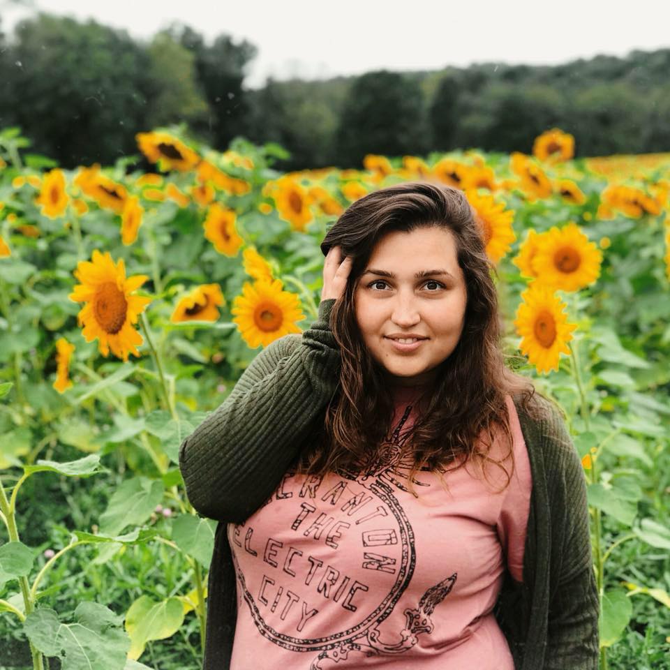 Sunflower Fields Forever