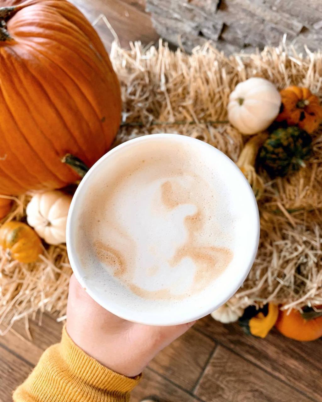 7 Cozy Fall Coffee Shop&nbsp;Drinks
