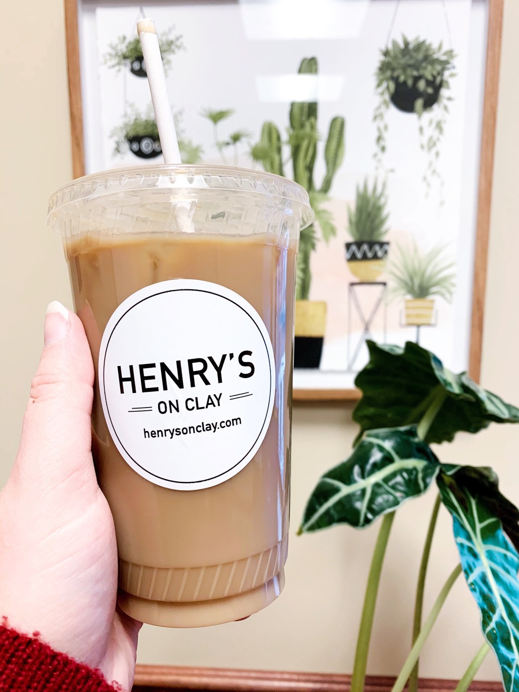 January 29th: Morning&nbsp;Cup